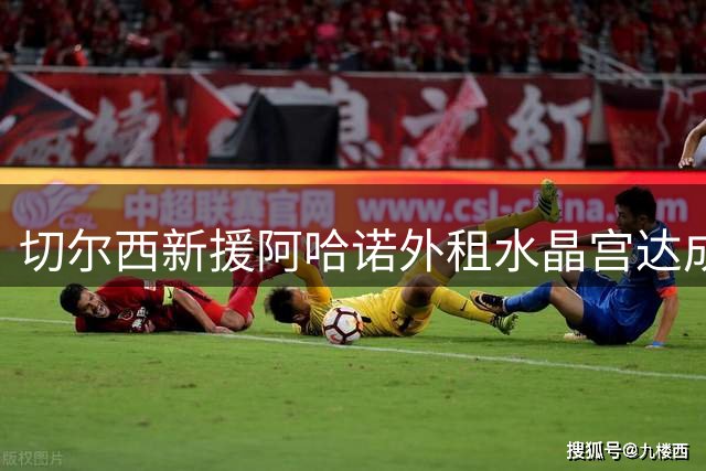 切尔西新援阿哈诺外租水晶宫达成协议 将参加体检